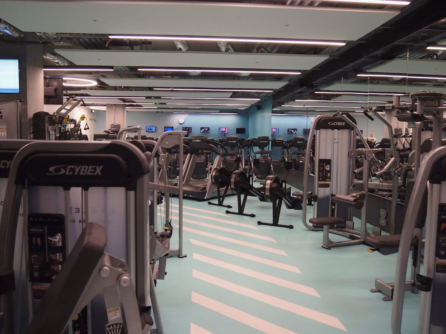 아일랜드유학 대학입학 약대 의대 더블린RCSI 06 아일랜드유학 대학입학 약대 의대 더블린RCSI 06