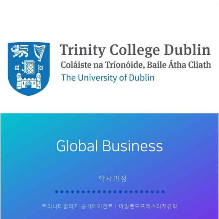 아일랜드유학 TCD 전공학과 (2) Global Business