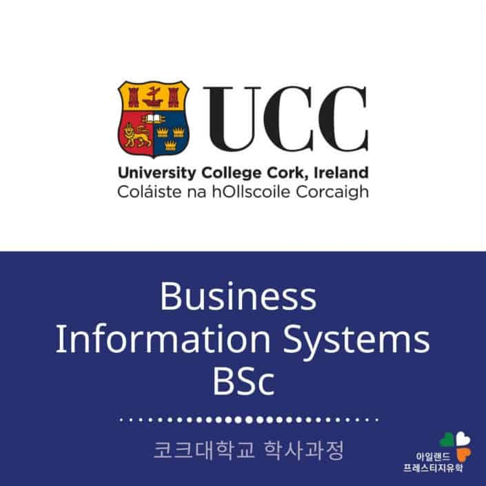 UCC 코크대학교-Business Inforamation system- 비즈니스인포메이션-아일랜드유학
