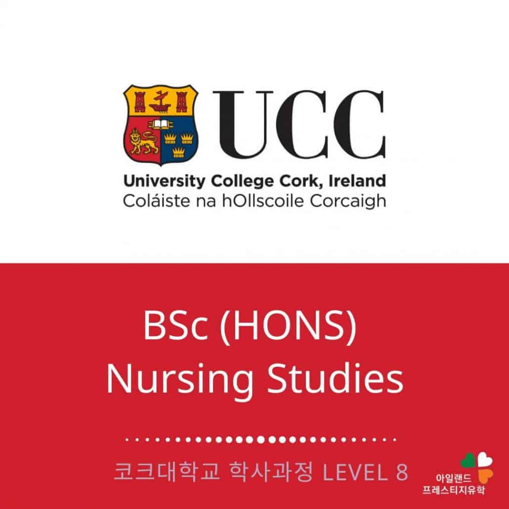 UCC 코크대학교-Nursing studies-간호사학위과정-아일랜드유학