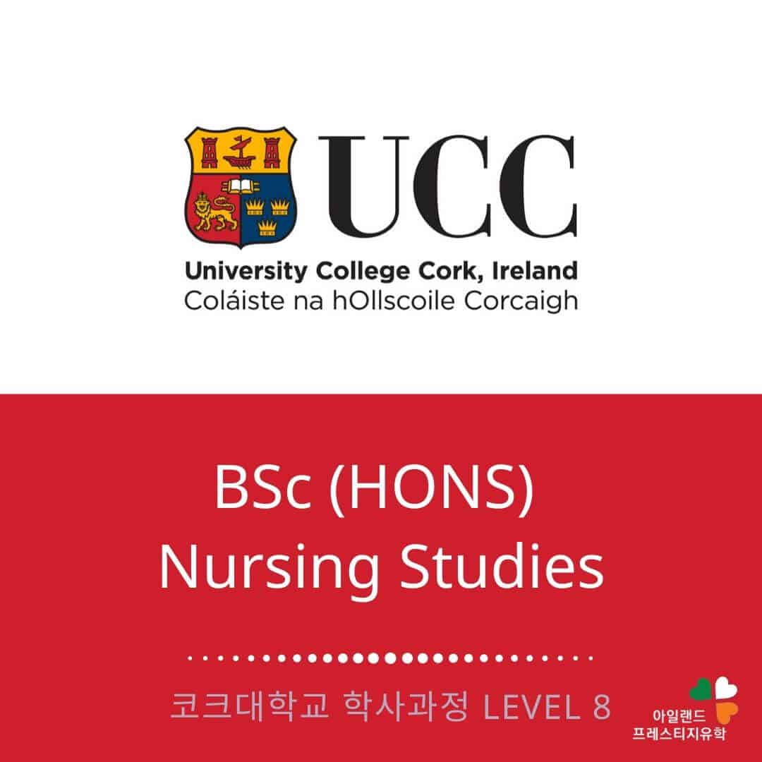 UCC 코크대학교-간호사학위과정-학사탑업과정-아일랜드유학 (1)