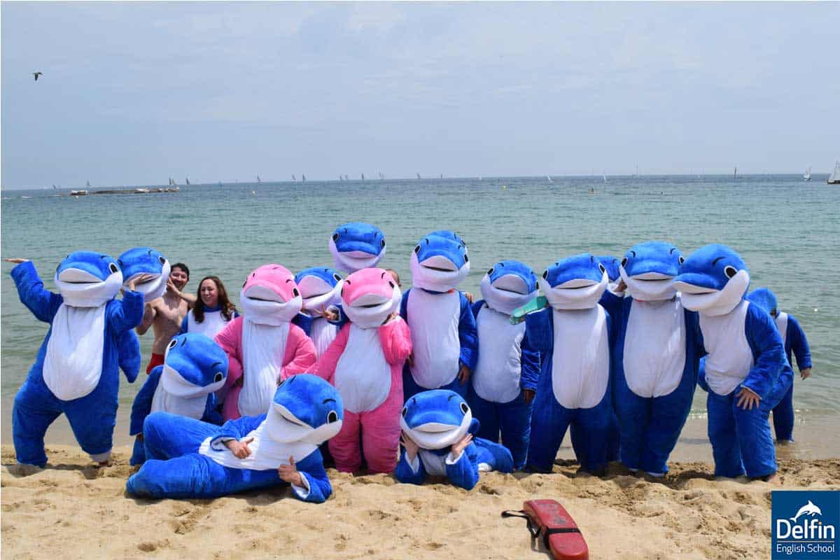 Delfin 학생 해변 액티비티