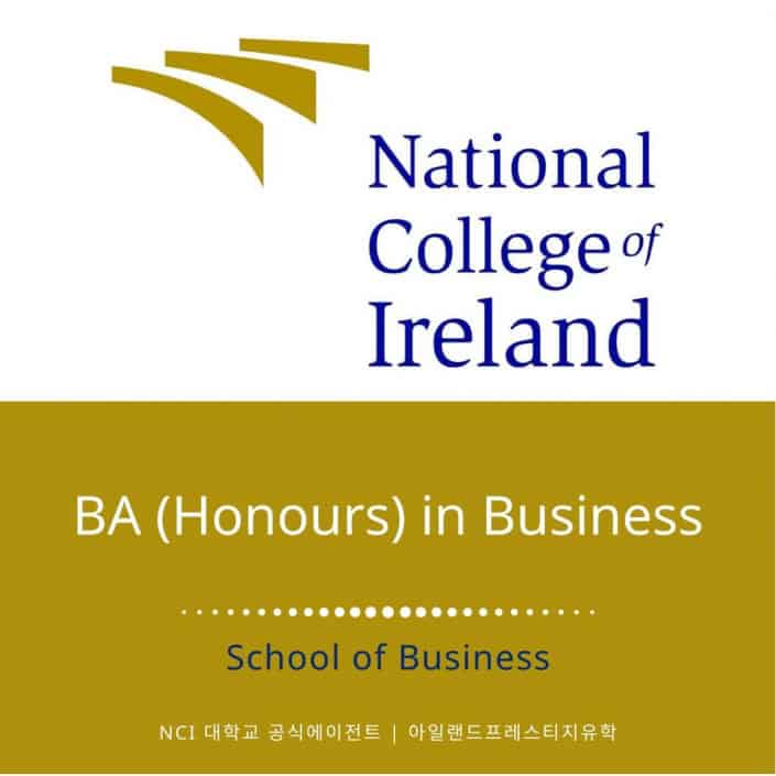 아일랜드유학_NCI (2) Business
