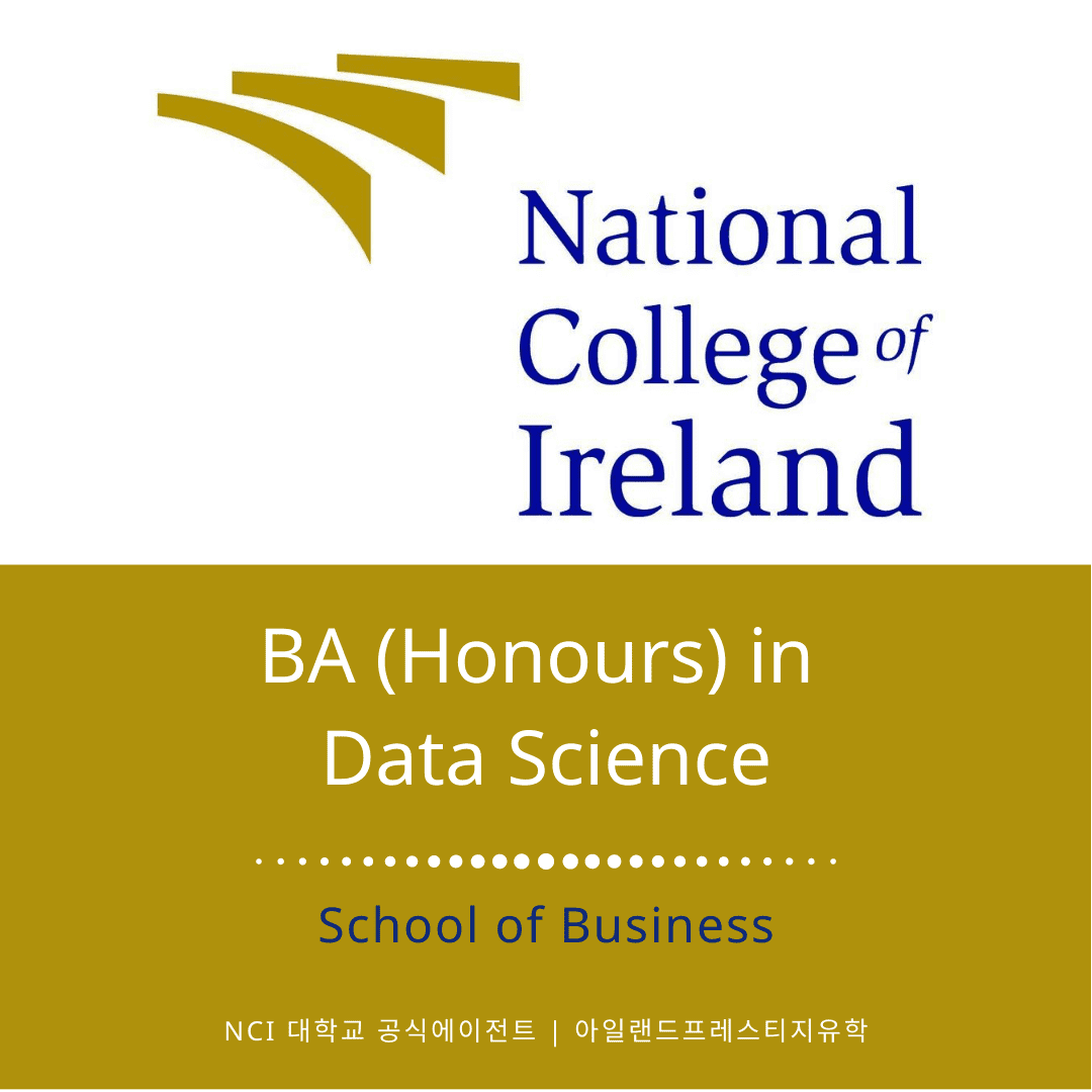 아일랜드유학_NCI-UG (10) DATA SCIENCE