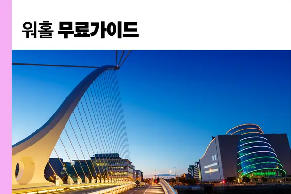 아일랜드워킹홀리데이 신청서 작성 및 무료검토