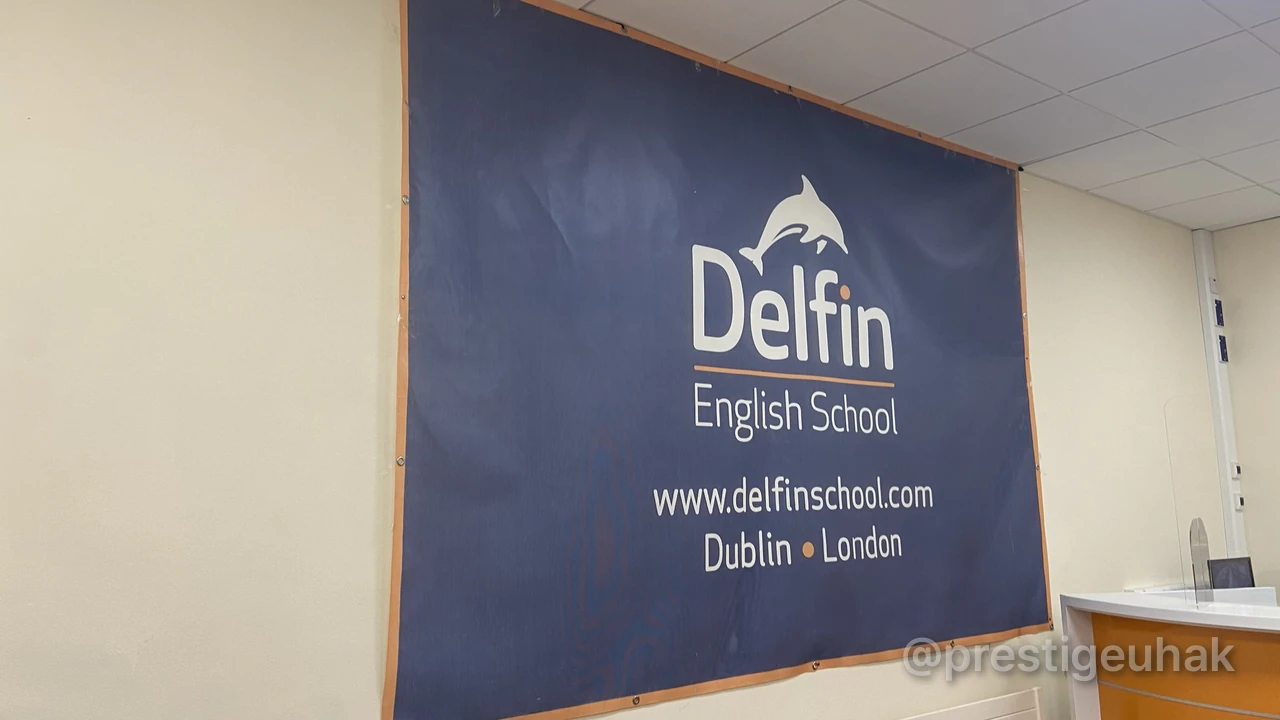Delfin English School 리셉션