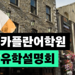 카플란어학원 Positively Languages 더블린 어학원을 소개합니다