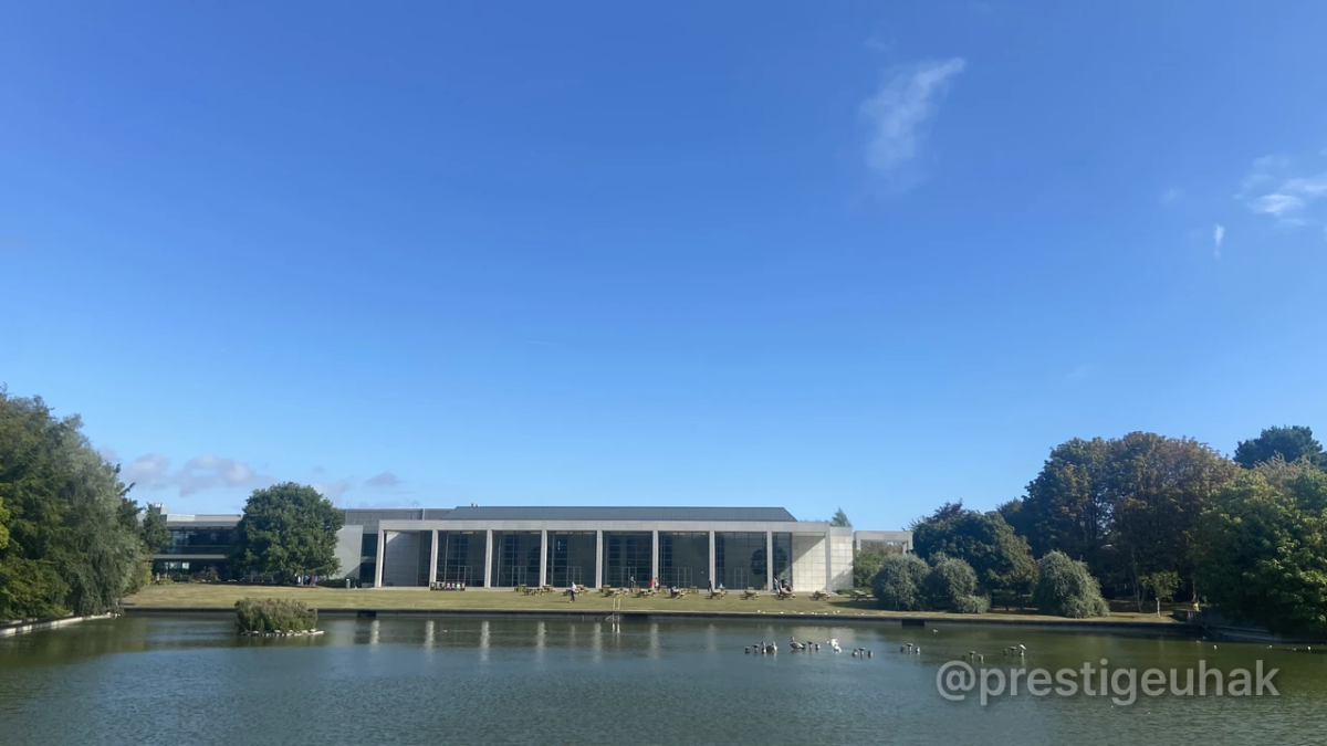 아일랜드 ucd 대학교 추가체류비자
