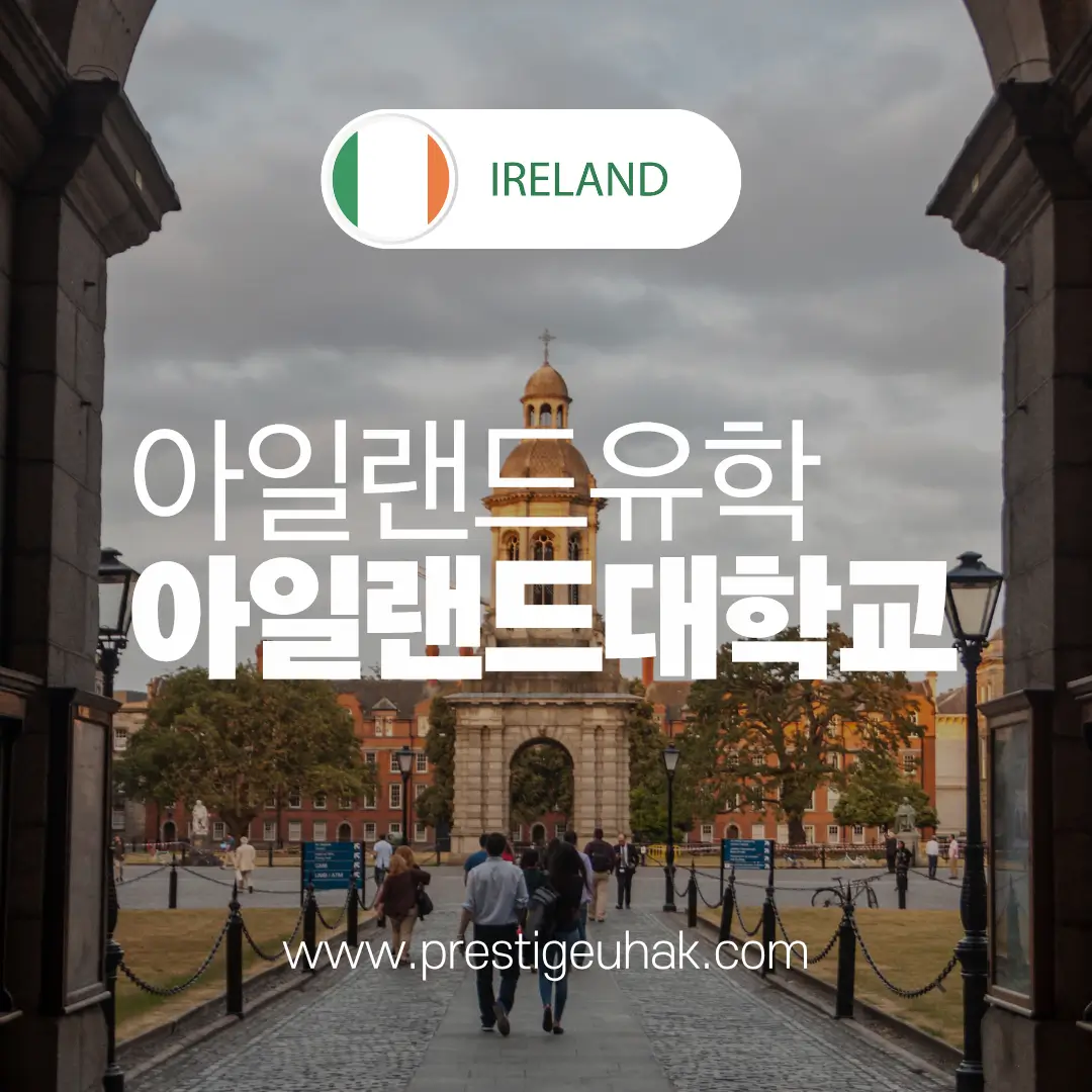 트리니티칼리지와 UCD 파운데이션 비교