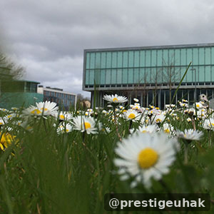 University of Galway Science 학사 과정 이미지