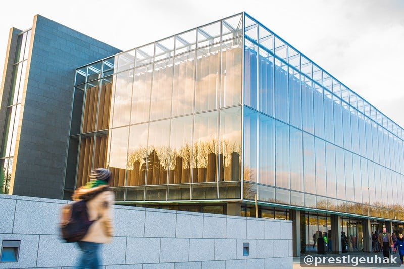 Maynooth University 국제경영 학사 과정 이미지
