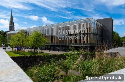 Maynooth University 제약 및 생의학화학 학사 과정 이미지