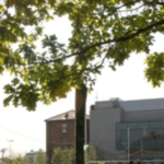 Griffith College Dublin 더블린 유학생 후기 대표 이미지