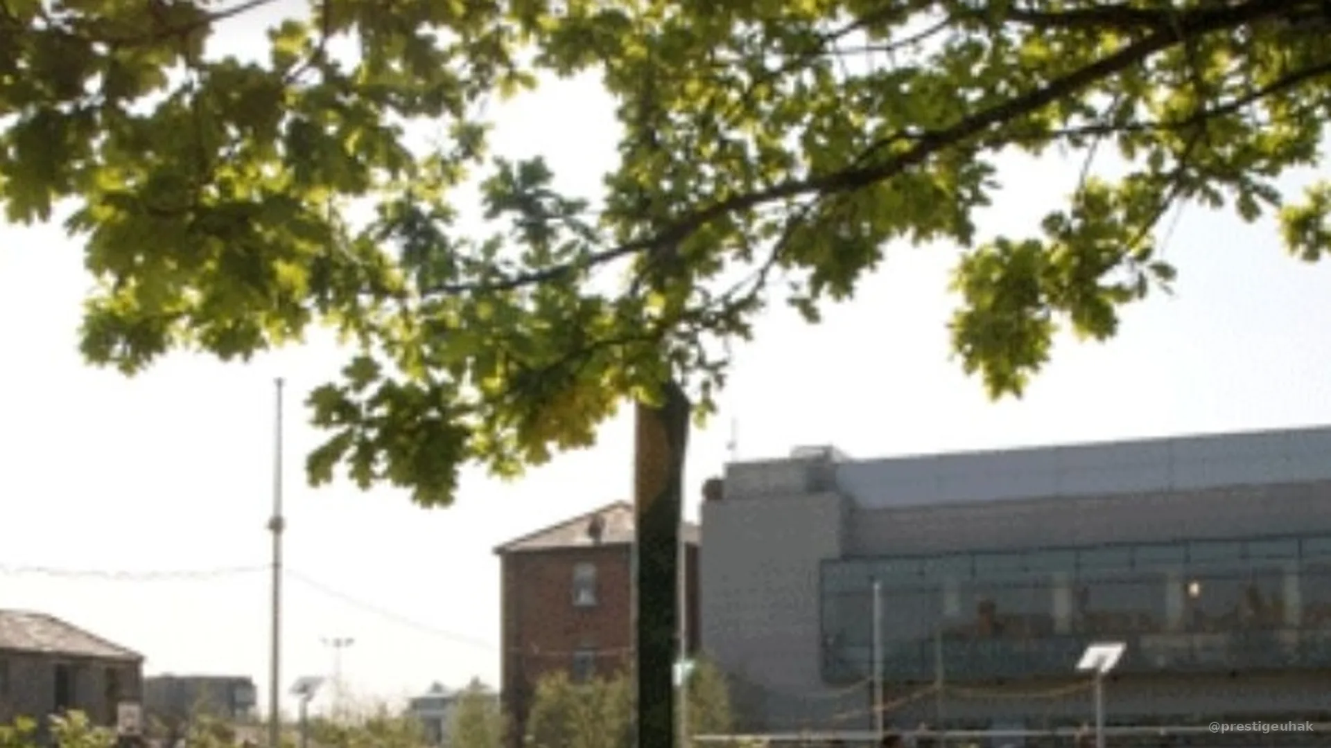 Griffith College Dublin 더블린 유학생 후기 대표 이미지