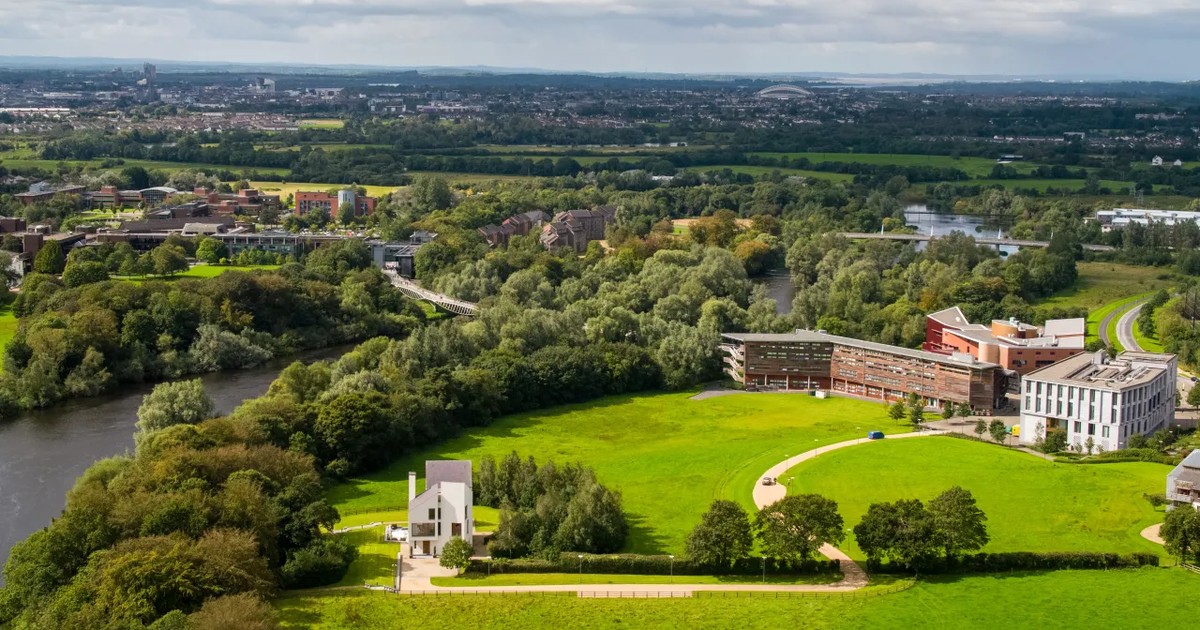 University of Limerick Immersive Bioscience and Biotherapeutics 학사·석사 대표 이미지