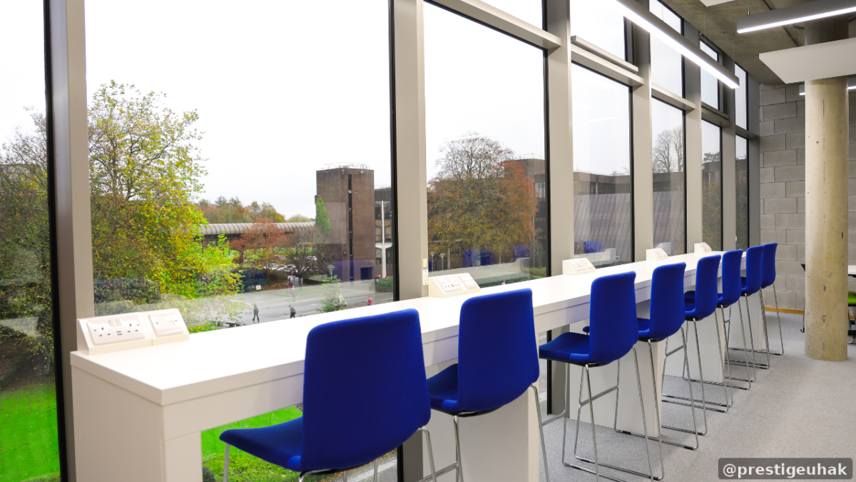 University of Limerick Bachelor of Business Studies 학사 과정 이미지